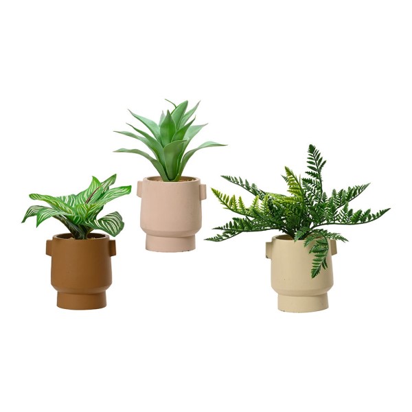Maceta de planta verde, 25 cm, con tiesto de colores surtidos, modelos variados
